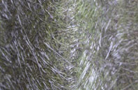 Pamber Heath fibreglass roof work