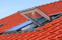 Pamber Heath roof window